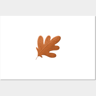 Autumn oak leaf red orange Posters and Art